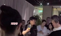 圈内爆料刘浩存视频,娱乐圈风波再起